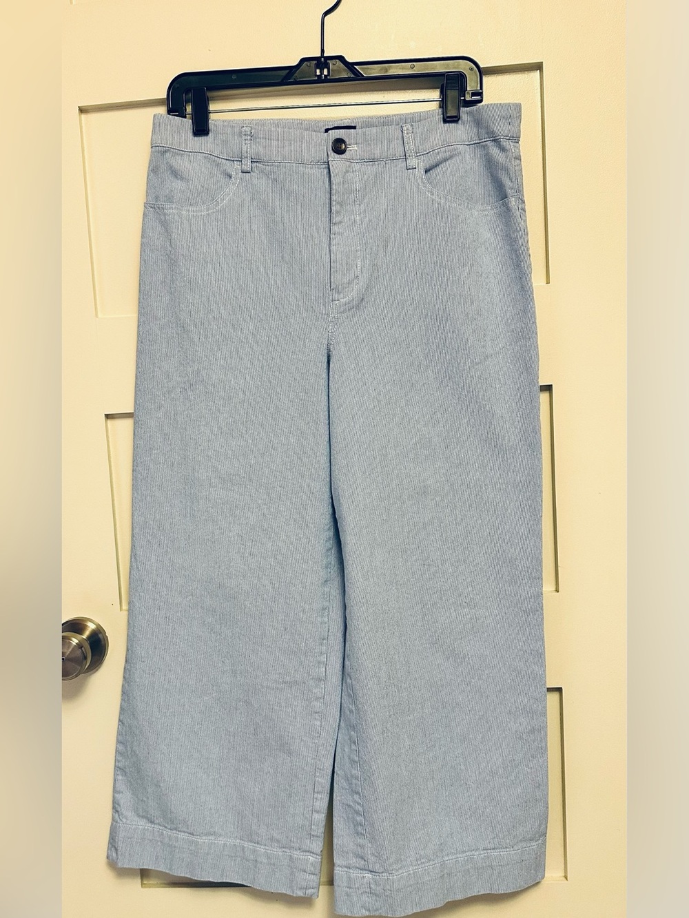 J Crew Striped Blue Wide-Leg Chinos